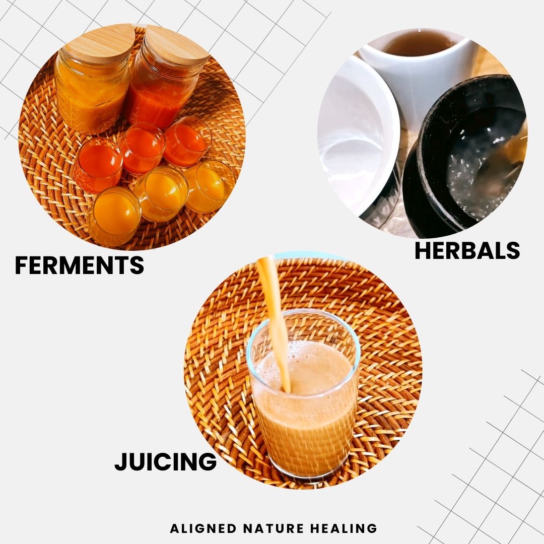 From Gut to Brain: The 4-Phase Cellular Detox System