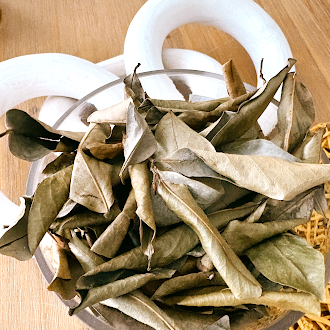 SOURSOP - Cellular Repair, Better Sleep, & Calm in a Cup Premium Soursop Leaves | 90–100 naturally grown leaves | Brews 30+ cups | FREE U.S. Shipping