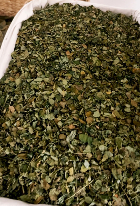 MORINGA – Clean Energy, Glowing Skin & Focus in a Cup  Loose-Leaf Moringa | Wild Crafted, Hand- Harvested & Naturally Dried | Brews 45–60 Cups | FREE U.S. Shipping